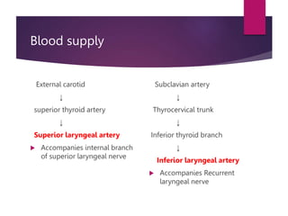Blood supply
External carotid
↓
superior thyroid artery
↓
Superior laryngeal artery
 Accompanies internal branch
of superior laryngeal nerve
Subclavian artery
↓
Thyrocervical trunk
↓
Inferior thyroid branch
↓
Inferior laryngeal artery
 Accompanies Recurrent
laryngeal nerve
 