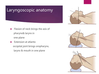 Laryngoscopic anatomy
 Flexion of neck brings the axis of
pharynx& larynx in
one plane
 Extension at atlanto
occipital joint brings oropharynx,
larynx & mouth in one plane
 