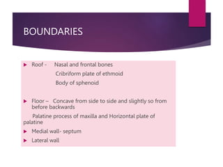 BOUNDARIES
 Roof - Nasal and frontal bones
Cribriform plate of ethmoid
Body of sphenoid
 Floor – Concave from side to side and slightly so from
before backwards
Palatine process of maxilla and Horizontal plate of
palatine
 Medial wall- septum
 Lateral wall
 