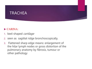 TRACHEA
 CARINA:
1. keel-shaped cartilage
2. seen as sagittal ridge bronchoscopically.
3. Flattened sharp edge means: enlargement of
the hilar lymph nodes or gross distortion of the
pulmonary anatomy by fibrosis, tumour or
other pathology
 