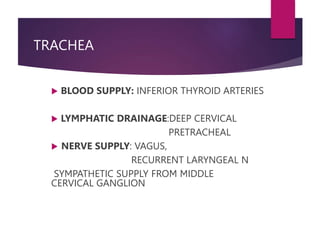 TRACHEA
 BLOOD SUPPLY: INFERIOR THYROID ARTERIES
 LYMPHATIC DRAINAGE:DEEP CERVICAL
PRETRACHEAL
 NERVE SUPPLY: VAGUS,
RECURRENT LARYNGEAL N
SYMPATHETIC SUPPLY FROM MIDDLE
CERVICAL GANGLION
 