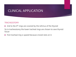 CLINICAL APPLICATION
TRACHEOSTOMY
 2nd to the 4th rings are covered by the isthmus of the thyroid
So in tracheostomy the lower tracheal rings are chosen to save thyroid
tissue
 First tracheal ring is spared because cricoid rests on it.
 