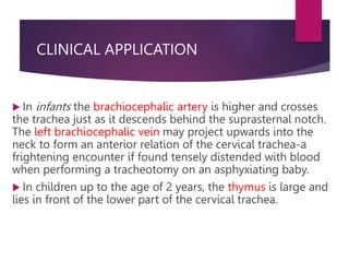 CLINICAL APPLICATION
 In infants the brachiocephalic artery is higher and crosses
the trachea just as it descends behind the suprasternal notch.
The left brachiocephalic vein may project upwards into the
neck to form an anterior relation of the cervical trachea-a
frightening encounter if found tensely distended with blood
when performing a tracheotomy on an asphyxiating baby.
 In children up to the age of 2 years, the thymus is large and
lies in front of the lower part of the cervical trachea.
 