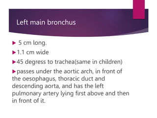 Left main bronchus
 5 cm long.
1.1 cm wide
45 degress to trachea(same in children)
passes under the aortic arch, in front of
the oesophagus, thoracic duct and
descending aorta, and has the left
pulmonary artery lying first above and then
in front of it.
 
