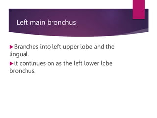 Left main bronchus
Branches into left upper lobe and the
lingual.
it continues on as the left lower lobe
bronchus.
 