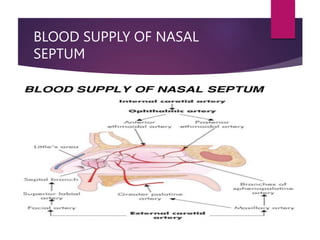 BLOOD SUPPLY OF NASAL
SEPTUM
 