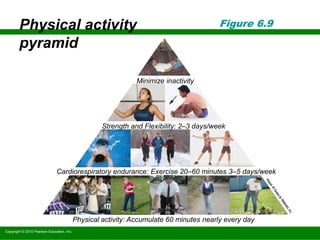 Copyright © 2010 Pearson Education, Inc.
Figure 6.9
Minimize inactivity
Strength and Flexibility: 2–3 days/week
Cardiorespiratory endurance: Exercise 20–60 minutes 3–5 days/week
Physical activity: Accumulate 60 minutes nearly every day
Physical activity
pyramid
 