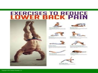 Copyright © 2010 Pearson Education, Inc.
 