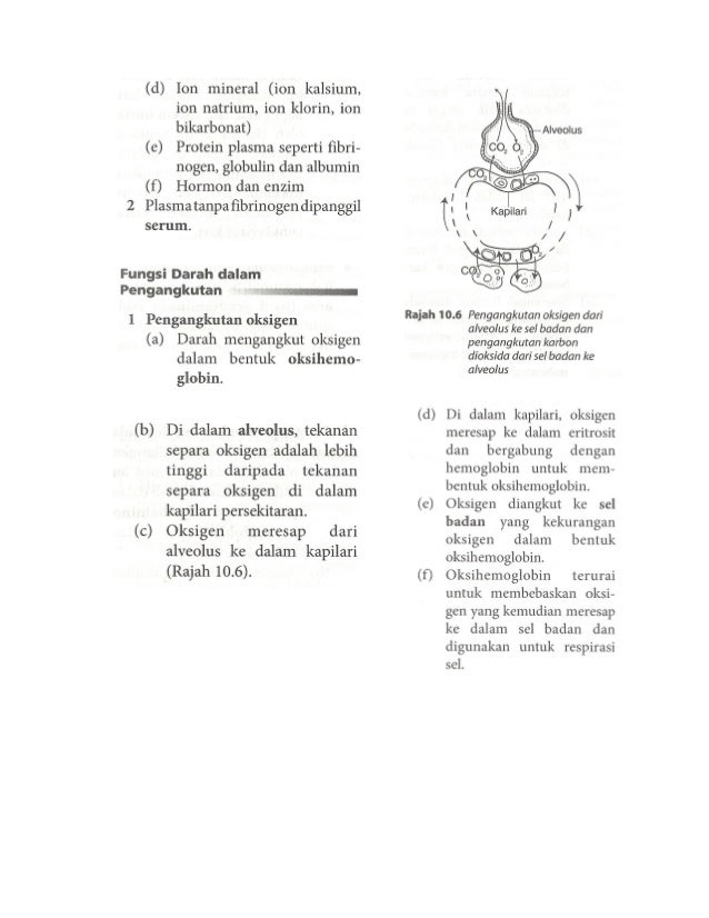 Topik 1 nota pengangkutan