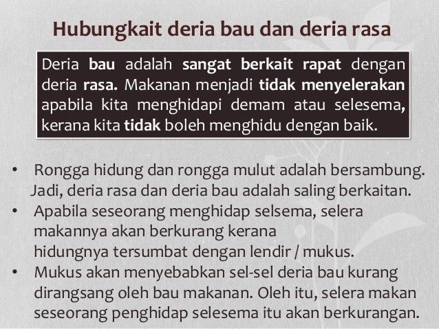 Topik 1 Dunia Melalui Deria Kita (bahagian 1)