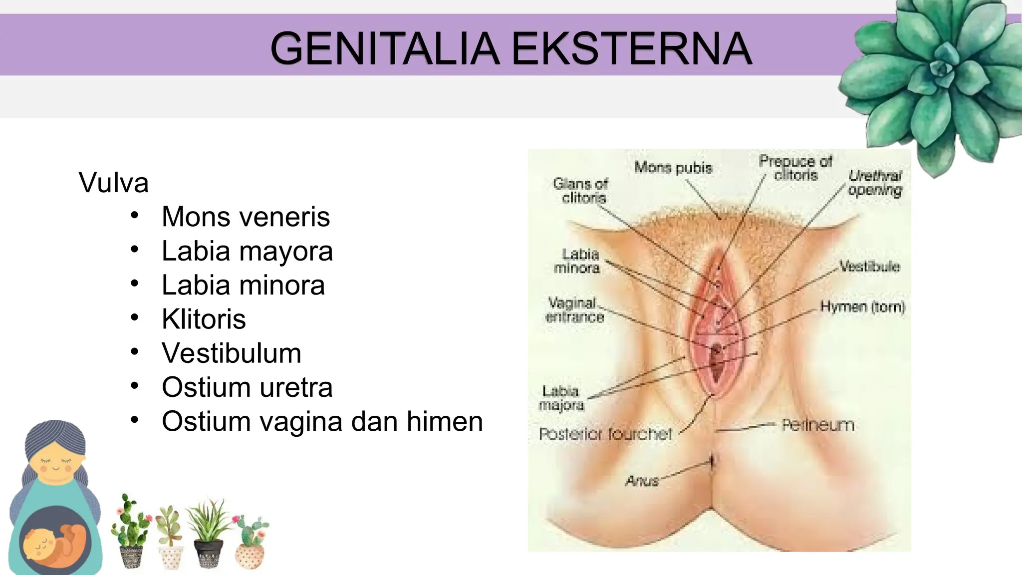 Moskva havaskor 2 porno onlayn