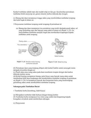 Kutikel tumbuhan adalah nipis dan mudah telap air dan gas. Keseluruhan permukaan
tumbuhan boleh menyerap air, garam mineral, karbon dioksida dan oksigen.

(c) Batang dan daun mempunyai rongga udara yang membolehkan tumbuhan terapung
dan kekal tegak di dalam air.

3 Penyesuaian tumbuhan terapung untuk terapung di permukaan air

   (a) Batang dan daun mempunyai tisu aerenkima yang terdiri daripada pundi udara, sel
       yang berdinding nipis dan banyak ruang udara di antara sel (Rajah 11.25). Ini
       menyebabkan tumbuhan menjadi ringan dan memberikan keapungan kepada
       tumbuhan untuk terapung.




(b) Permukaan daun yang terapung diliputi oleh kutikel bedilin untuk mencegah stoma
daripada tersumbat dengan air.
(c) Pundi udara atau ruang udara pada daun membantu resapan oksigen dan karbon
dioksida melalui stoma.
(d) Keladi bunting mempunyai batang, petiol besar yang banyak ruang udara untuk
memberikan lebih daya keapungan dan membolehkan tumbuhan terapung di permukaan
air (Rajah 11.26). Ia mempunyai banyak akar bergentian halus yang memerangkap
gelembung udara untuk membolehkan tumbuhan terapung.

Sokongan pada Tumbuhan Darat

1 Tumbuhan herba (keembung, lidah buaya)

(a) Merupakan tumbuhan tidak berkayu dengan batang lembut.
(b) Tumbuhan herba mempunyai tisu xilem yang sedikit dan bergantung kepada
kesegahan sel pokok untuk memberikan sokongan.

(c) Penyesuaian
 