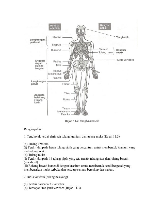 Nota Ringkas Sains Tingkatan 5 Bab 2 Peta Minda  Nota ringkas setiap