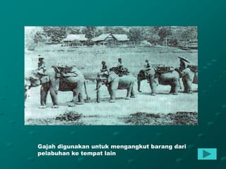 Gajah digunakan untuk mengangkut barang dari
pelabuhan ke tempat lain
 