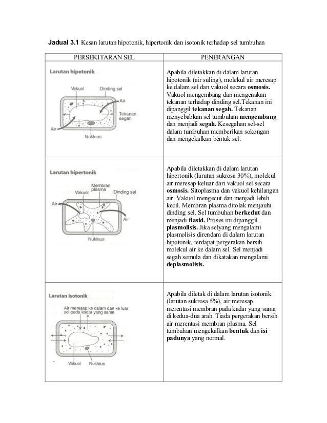 Topik 3 pergerakan merentas membran plasma