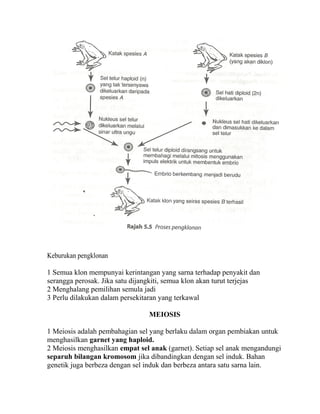 Keburukan pengklonan

1 Semua klon mempunyai kerintangan yang sarna terhadap penyakit dan
serangga perosak. Jika satu dijangkiti, semua klon akan turut terjejas
2 Menghalang pemilihan semula jadi
3 Perlu dilakukan dalam persekitaran yang terkawal

                                 MEIOSIS

1 Meiosis adalah pembahagian sel yang berlaku dalam organ pembiakan untuk
menghasilkan garnet yang haploid.
2 Meiosis menghasilkan empat sel anak (garnet). Setiap sel anak mengandungi
separuh bilangan kromosom jika dibandingkan dengan sel induk. Bahan
genetik juga berbeza dengan sel induk dan berbeza antara satu sarna lain.
 