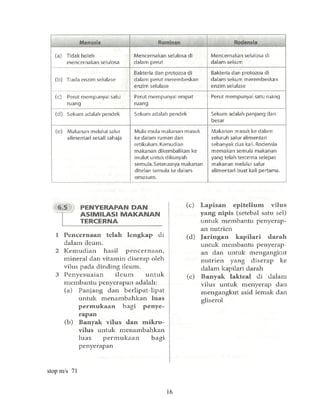 stop m/s 71


              16
 