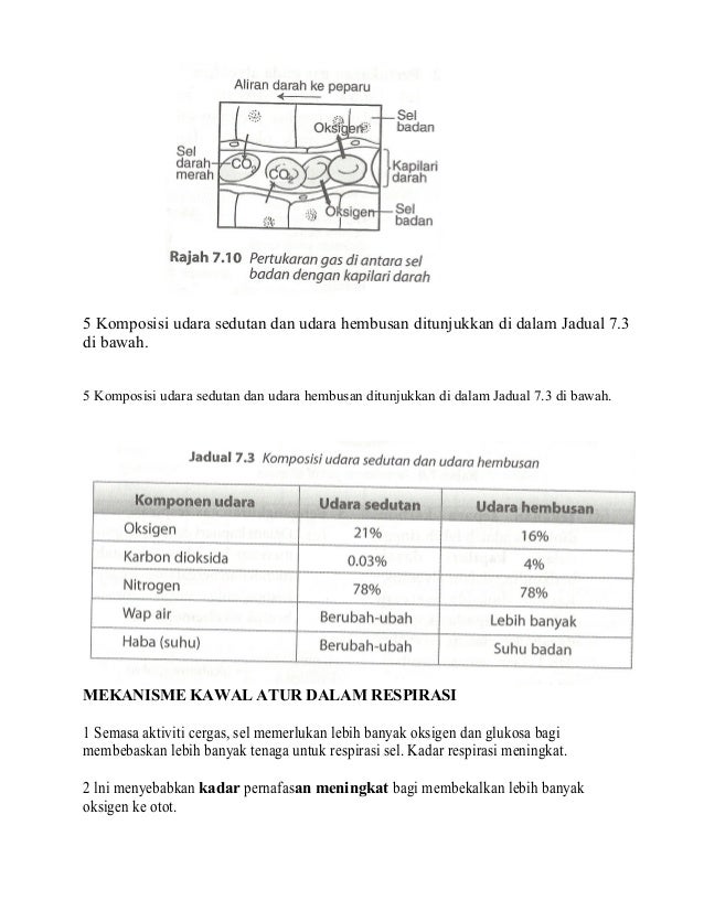 Topik 7 Nota Respirasi