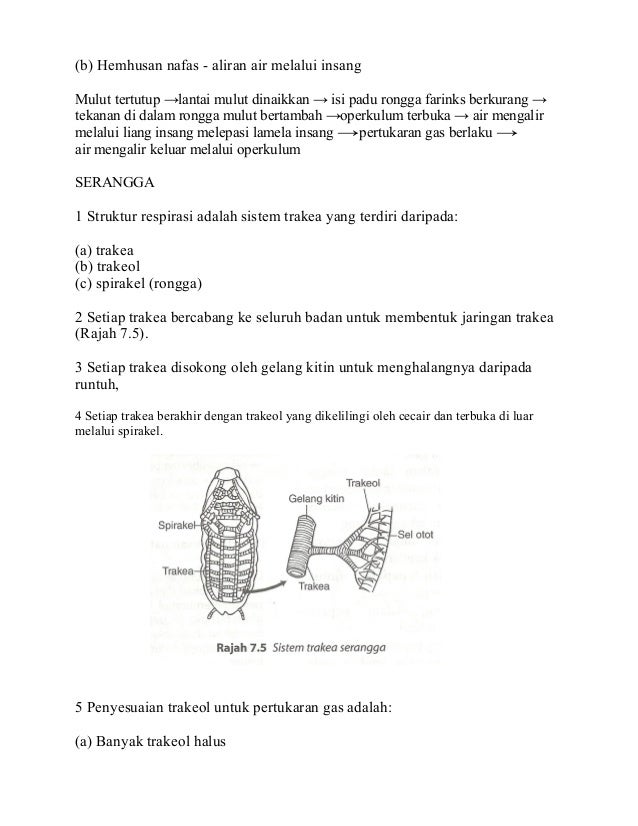 Topik 7 Nota Respirasi