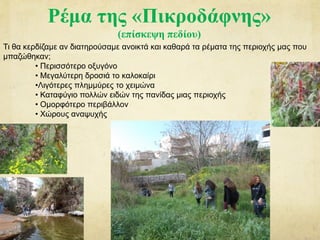 Ρέμα της «Πικροδάφνης»
(επίσκεψη πεδίου)
Τι θα κερδίζαμε αν διατηρούσαμε ανοικτά και καθαρά τα ρέματα της περιοχής μας που
μπαζώθηκαν;
• Περισσότερο οξυγόνο
• Μεγαλύτερη δροσιά το καλοκαίρι
•Λιγότερες πλημμύρες το χειμώνα
• Καταφύγιο πολλών ειδών της πανίδας μιας περιοχής
• Ομορφότερο περιβάλλον
• Χώρους αναψυχής
 