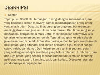 DESKRIPSI
  Contoh
Tepat pukul 06.00 aku terbangun, diiringi dengan suara-suara ayam
yang berkokok seolah menyanyi sambil membangunkan orang-orang
yang masih tidur. Dapat ku lihat burung-burung yang berterbangan
meninggalkan sarangnya untuk mencari makan. Dari timur sang surya
menyapaku dengan malu-malu untuk menampakkan cahayanya. Aku
berjalan ke halaman depan rumah. Tepat dihadapan ku ada sebuah
jalan besar untuk berlalu lintas dan dari kejauhan tampak sawah-sawah
milik petani yang ditanami padi masih berwarna hijau terlihat sangat
sejuk, indah, dan damai. Dari kejauhan pula terlihat seorang petani
yang sedang membajak sawahnya yang belum ditanami tumbuhan, dan
ada juga petani yang sedang mencari rumput untuk makan binatang
peliharaannya seperti kambing, sapi, dan kerbau. Didesaku rata-rata
penduduknya sebagai petani.
 