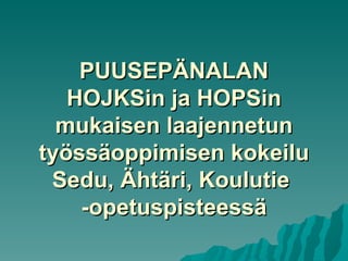 PUUSEPÄNALAN HOJKSin ja HOPSin mukaisen laajennetun työssäoppimisen kokeilu Sedu, Ähtäri, Koulutie  -opetuspisteessä 