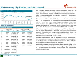 Topline Pakistan Market Outlook 2023.pdf