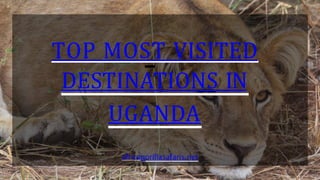 TOP MOST VISITED
DESTINATIONS IN
UGANDA
africagorillasafaris.net
 
