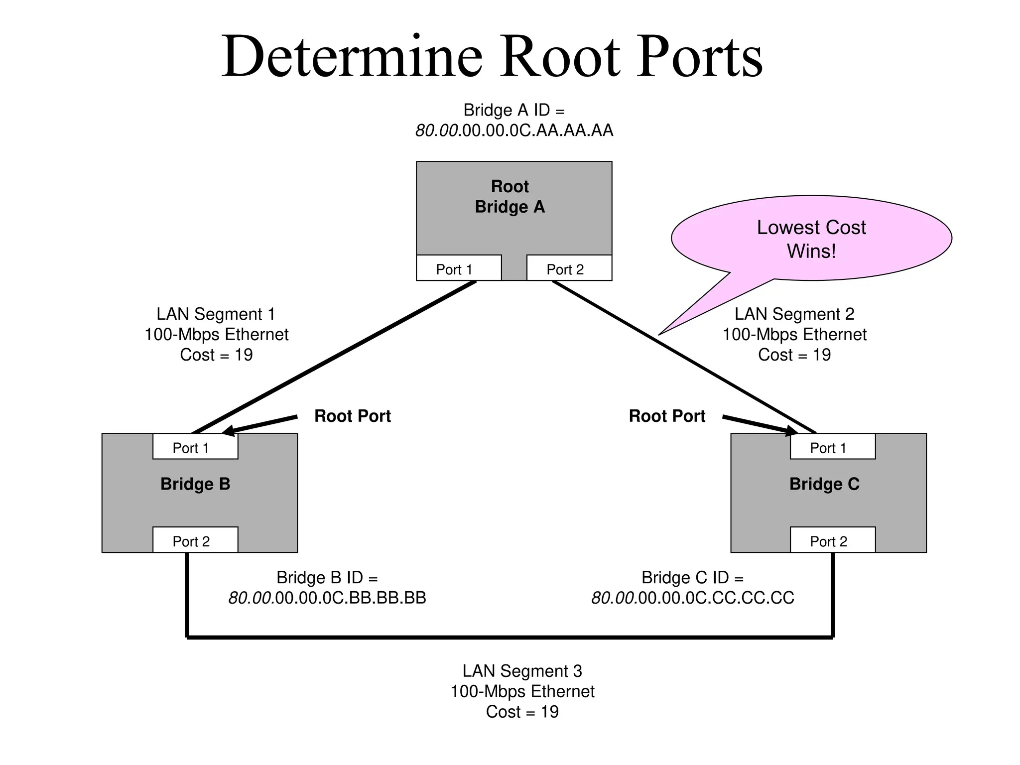 Determine Root Ports
Bridge B Bridge C
Root
Bridge A
Bridge A ID =
80.00.00.00.0C.AA.AA.AA
Bridge B ID =
80.00.00.00.0C.BB.BB.BB
Bridge C ID =
80.00.00.00.0C.CC.CC.CC
Port 1
Port 2
Port 1
Port 2
Port 1 Port 2
LAN Segment 2
100-Mbps Ethernet
Cost = 19
LAN Segment 1
100-Mbps Ethernet
Cost = 19
LAN Segment 3
100-Mbps Ethernet
Cost = 19
Root Port Root Port
Lowest Cost
Wins!
 