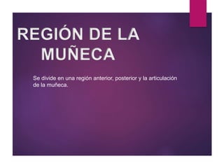 REGIÓN DE LA
MUÑECA
Se divide en una región anterior, posterior y la articulación
de la muñeca.
 
