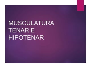 MUSCULATURA
TENAR E
HIPOTENAR
 