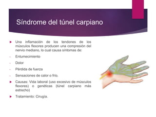 Síndrome del túnel carpiano
 Una inflamación de los tendones de los
músculos flexores producen una compresión del
nervio mediano, lo cual causa síntomas de:
- Entumecimiento
- Dolor
- Pérdida de fuerza
- Sensaciones de calor o frío.
 Causas: Vida laboral (uso excesivo de músculos
flexores) o genéticas (túnel carpiano más
estrecho)
 Tratamiento: Cirugía.
 