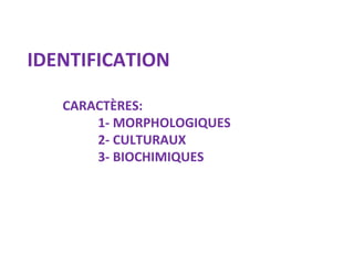 IDENTIFICATION

   CARACTÈRES:
       1- MORPHOLOGIQUES
       2- CULTURAUX
       3- BIOCHIMIQUES
 