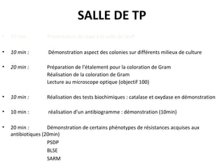 SALLE DE TP
•   20 min :       Présentation du topo à la salle de Staff

•   10 min :       Démonstration aspect des colonies sur différents milieux de culture

•   20 min :       Préparation de l’étalement pour la coloration de Gram
                   Réalisation de la coloration de Gram
                   Lecture au microscope optique (objectif 100)

•   10 min :       Réalisation des tests biochimiques : catalase et oxydase en démonstration

•   10 min :       réalisation d’un antibiogramme : démonstration (10min)

•   20 min :        Démonstration de certains phénotypes de résistances acquises aux
    antibiotiques (20min)
                    PSDP
                    BLSE
                    SARM
 