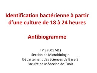Identification bactérienne à partir
 d’une culture de 18 à 24 heures

          Antibiogramme

                  TP 3 (DCEM1)
            Section de Microbiologie
       Département des Sciences de Base B
          Faculté de Médecine de Tunis
 