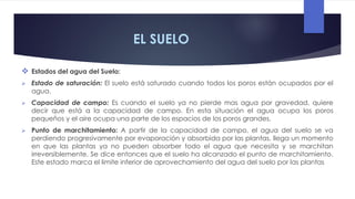 EL SUELO
 Estados del agua del Suelo:
 Estado de saturación: El suelo está saturado cuando todos los poros están ocupados por el
agua.
 Capacidad de campo: Es cuando el suelo ya no pierde mas agua por gravedad, quiere
decir que está a la capacidad de campo. En esta situación el agua ocupa los poros
pequeños y el aire ocupa una parte de los espacios de los poros grandes.
 Punto de marchitamiento: A partir de la capacidad de campo, el agua del suelo se va
perdiendo progresivamente por evaporación y absorbida por las plantas, llega un momento
en que las plantas ya no pueden absorber todo el agua que necesita y se marchitan
irreversiblemente. Se dice entonces que el suelo ha alcanzado el punto de marchitamiento.
Este estado marca el limite inferior de aprovechamiento del agua del suelo por las plantas
 