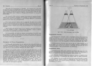 Topografía torres y villate