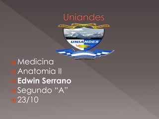  Medicina
 Anatomia II
 Edwin Serrano
 Segundo “A”
 23/10
 