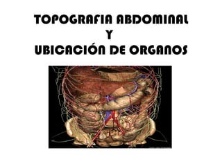 TOPOGRAFIA ABDOMINAL Y  UBICACIÓN DE ORGANOS 