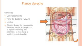 Flanco derecho
Contenido
❖ Colon ascendente
❖ Parte del duodeno y yeyuno
❖ Limites
❖ Situado debajo del hipocondrio
derecho, medial al cuerpo por
la región umbilical y por
encima de la fosa iliaca o
región inguinal derecha.
 