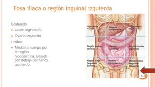 Fosa iliaca o región inguinal izquierda
Contenido
❖ Colon sigmoideo
❖ Ovario izquierdo
Limites
❖ Medial al cuerpo por
la región
hipogástrica, situada
por debajo del flanco
izquierdo.
 