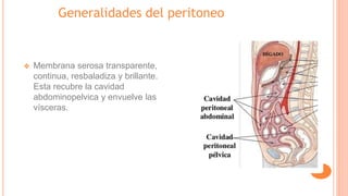 Generalidades del peritoneo
❖ Membrana serosa transparente,
continua, resbaladiza y brillante.
Esta recubre la cavidad
abdominopelvica y envuelve las
vísceras.
 
