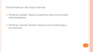 Esta formado por dos hojas continuas:
❖ Peritoneo parietal: Tapiza la superficie interna de la pared
abdominopelvica
❖ Peritoneo visceral: Reviste vísceras como el estomago y
los intestinos
 