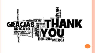 Topografia abdominal anatomia