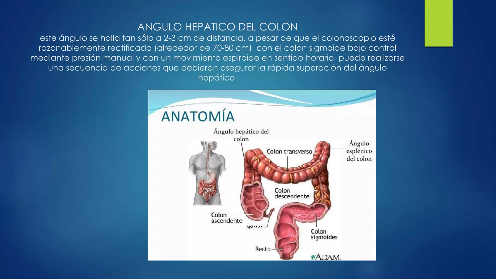 Topografia abdominal y peritoneo