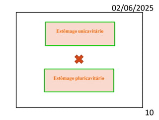 02/06/2025
10
Estômago unicavitário
Estômago pluricavitário
 