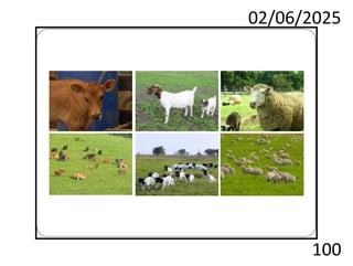 02/06/2025
100
 