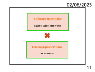 02/06/2025
11
Estômagounicavitário
equino, suíno,carnívoros
Estômago pluricavitário
ruminantes
 