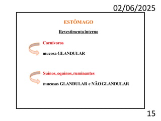 02/06/2025
15
ESTÔMAGO
Revestimentointerno
Carnívoros
mucosa GLANDULAR
Suínos, equinos,ruminantes
mucosas GLANDULAR e NÃOGLANDULAR
 