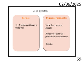 02/06/2025
69
Pequenosruminantes
3-4 voltas em cada
direção
Aspecto de colar de
pérolas das voltas centrífugas
Síbalas
Bovinos
1,5 -2 voltas centífugas e
centrípetas
Cólon ascendente
 